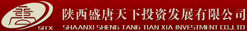 首页-陕西盛唐天下投资发展有限公司